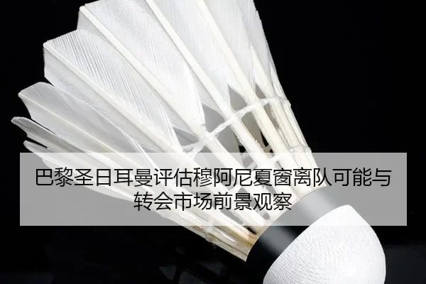 ba-li-sheng-ri-er-man-ping-gu-mu-a-ni-xia-chuang-li-dui-ke-neng-yu-zhuan-hui-shi-chang-qian-jing-guan-cha-2-387.jpg